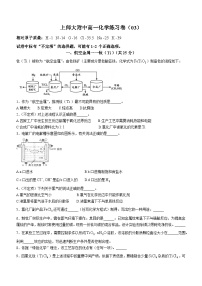 上海师范大学附属中学2024-2025学年高一上学期11月月考 化学试卷