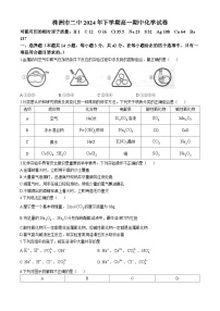 湖南省株洲市第二中学2024-2025学年高一上学期期中考试化学试题