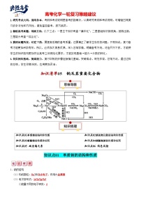 专题05  钠及其重要化合物-【知识清单】最新高考化学一轮复习知识点一览表