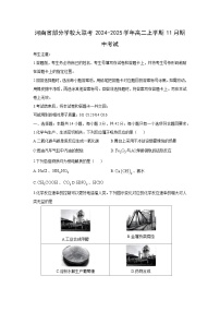 2024-2025学年河南省部分学校大联考高二(上)11月期中考试化学试卷