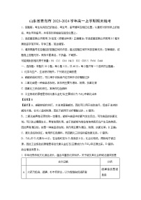 2023-2024学年山东省青岛市高一(上)期末统考化学试卷（解析版）