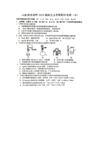 2025届山东省菏泽市高三(上)期中考试（B）（图片版）化学试卷