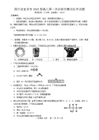 四川省宜宾市2025届高三第一次诊断性测试化学试题（含答案）