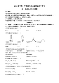 浙江省温州新力量联盟2024-2025学年高一上学期期中联考化学试题（含答案）