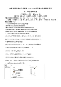 安徽省合肥市合肥六校联盟2024-2025学年高二上学期11月期中化学试题