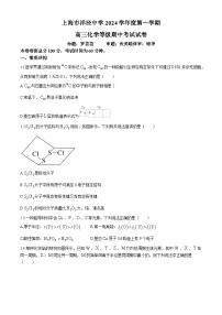 上海市洋泾中学2024-2025学年高三上学期期中考试 化学试卷