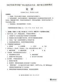 广西玉林市2023_2024学年高一化学上学期期中试题pdf