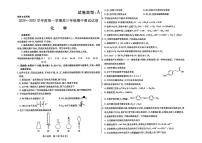 内蒙古包头市2024-2025学年高三上学期期中考试化学试卷