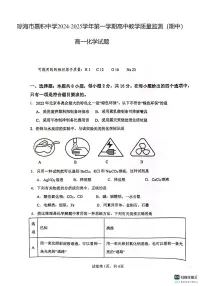 海南省琼海市嘉积中学2024-2025学年高一上学期期中考试化学试题