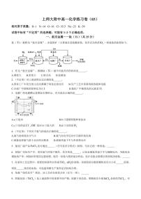 2024～2025学年上海师范大学附属中学高一(上)11月月考化学试卷(含答案)