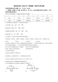 2024～2025学年湖南省株洲市南方中学高一(上)期中化学试卷(含答案)