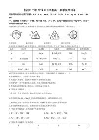 2024～2025学年湖南省株洲市第二中学高一(上)期中化学试卷(含答案)