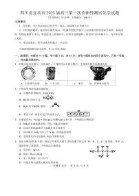 2025届四川省宜宾市高三第一次诊断性测试化学试卷(含答案)