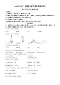 2024～2025学年浙江省温州新力量联盟高一(上)期中联考化学试卷(含答案)