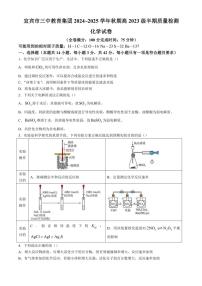 2024～2025学年四川省宜宾市三中教育集团高二(上)期中化学试卷(含答案)