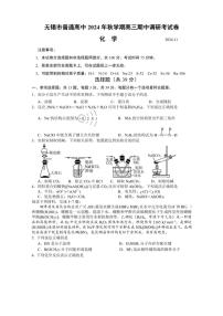 2024～2025学年江苏省无锡市高三(上)期中化学试卷(含答案)