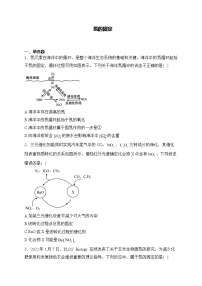 2025届高考化学一轮复习基础知识专练     氮的固定