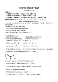 四川省自贡市荣县中学校2024-2025学年高一上学期期中考试  化学试题