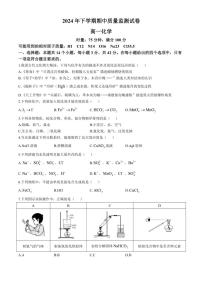 2024～2025学年湖南省浏阳市高一(上)期中化学试卷(含答案)