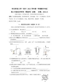 上海市华东师范大学第一附属中学2024～2025学年高三(上)化学期中试卷(含答案)