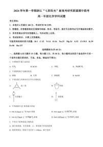 浙江省七彩阳光新高考研究联盟2024～2025学年高一(上)期中联考化学试卷(含答案)