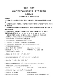 广西壮族自治区玉林市2024-2025学年高一上学期11月期中考试化学试题(无答案)