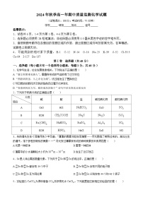 福建省泉州市安溪县2024-2025学年高一上学期11月期中考试化学试题(无答案)