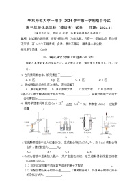 上海市华东师范大学第一附属中学2024-2025学年高三上学期化学期中考试（含答案）