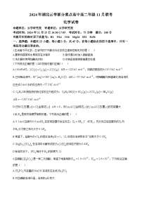 湖北省湖北云学联盟2024-2025学年高二上学期11月期中化学试题(无答案)