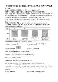 河北省邯郸市部分校2024-2025学年高三上学期11月联考 化学试题