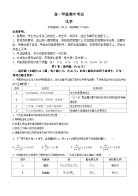 河北省邯郸市2024-2025学年高一上学期11月期中考试 化学试题