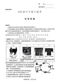 湖南省2023_2024学年高三化学上学期11月联考试题pdf