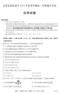 云南省会泽县茚旺高级中学2024-2025学年高一上学期期中考试+化学试题