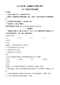 浙江省衢州六校联盟2024-2025学年高一上学期期中联考化学试卷（Word版附解析）