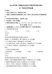 浙江省丽水市五校高中发展共同体2024-2025学年高一上学期11月期中联考化学试卷（Word版附解析）