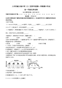 上海外国语大学附属大境中学2024-2025学年高一上学期期中考试 化学试卷 (无答案)