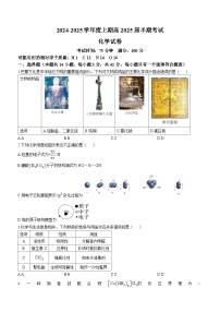 四川省成都市第七中学2024-2025学年高三上学期11月期中考试 化学试题