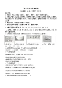 福建省龙岩市龙岩非一级达标校高三2024-2025学年高三上学期11月期中化学试题