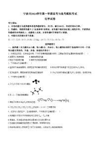 浙江省宁波市2024-2025学年高三上学期11月第一次模拟考试  化学试题