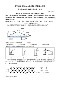 上海市晋元高级中学2024-2025学年高三上学期期中考试 化学试题