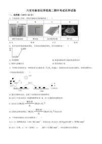 安徽省六安新世纪学校2024～2025学年高二(上)期中化学试卷(含答案)