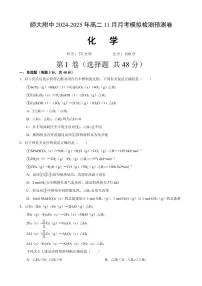甘肃省兰州市西北师范大学附属中学2024～2025学年高二(上)11月月考化学试卷(含答案)