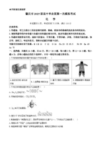 广东省肇庆市2024-2025学年届高三上学期第一次模拟考试化学试题