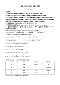 湖北省宜昌市协作体2024-2025学年高一上学期期中考试化学试题