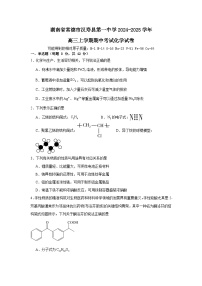 湖南省常德市汉寿县第一中学2024-2025学年高三上学期11月期中考试 化学试题