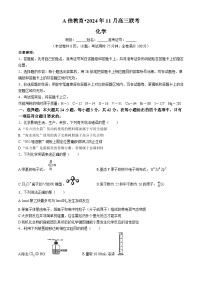 湖南省a佳教育2024-2025学年高三上学期11月联考 化学试卷