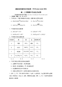 湖南省常德市汉寿县第一中学2024-2025学年高一上学期11月期中考试 化学试题