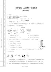 四川省眉山市东坡区校际联考2024-2025学年高一上学期11月期中考试 化学试题