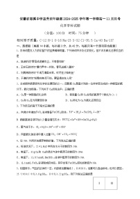 安徽省郎溪中学直升班年级部2024-2025学年高一上学期11月月考化学试题