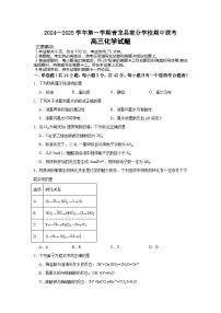 河北省秦皇岛市青龙满族自治县青龙部分学校2024-2025学年高三上学期11月期中化学试题